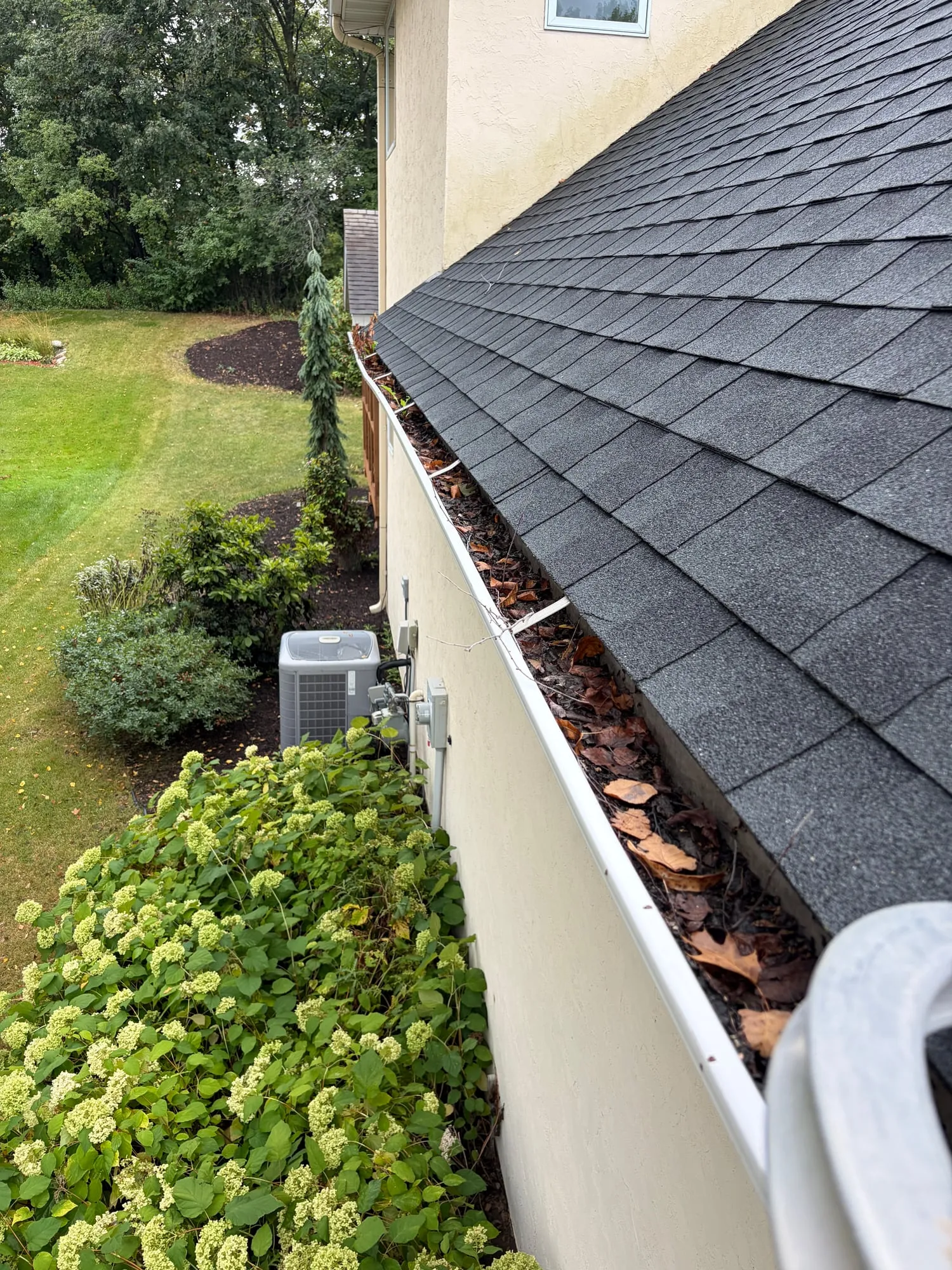 Gutter with leaves and debris before cleaning