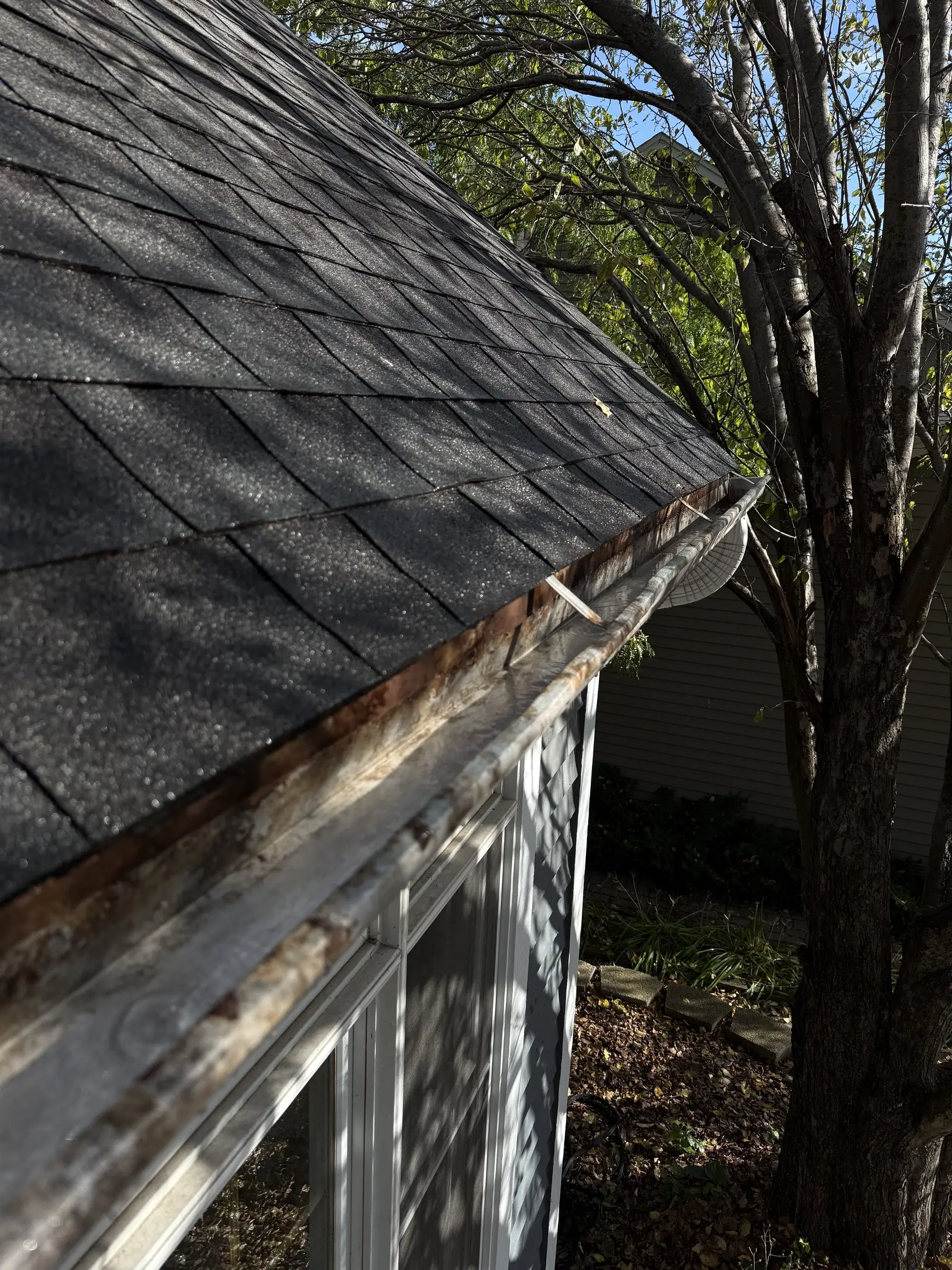 After: the same gutter cleared out